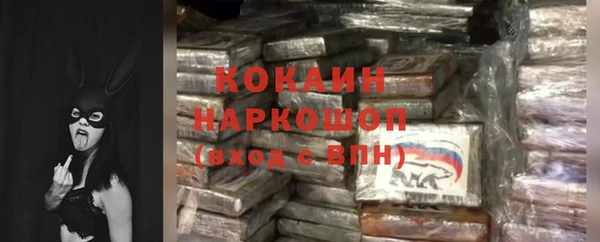 твердый Дмитриев