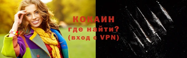 твердый Дмитриев