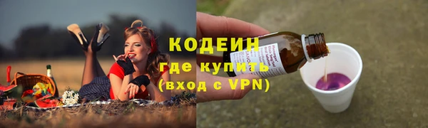 твердый Дмитриев