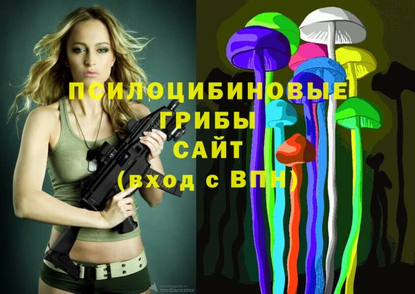 твердый Дмитриев